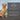 Equiderma Barn Dog Skin Lotion Topical Solution for Dogs 16 oz. Equiderma