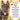 Piccardmeds4pets Hydro-Itch Spray 1.0 % for Dogs Cats & Horses 4oz. Piccard Meds 4 Pets
