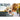 Alzoo Natural Repellant Dog Shampoo 12oz. Alzoo