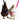 Valhoma Pet Chicken Harness and/or Leash Bright Fun Colors Pet Duck Goose Valhoma