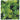 Zoo Med Natural Bush Amazonian Phyllo Plastic Plant Reptile Fish Tank Decoration Zoo Med