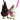Valhoma Chicken Combo Pullet Harness with 4 Feet Leash Blue Valhoma